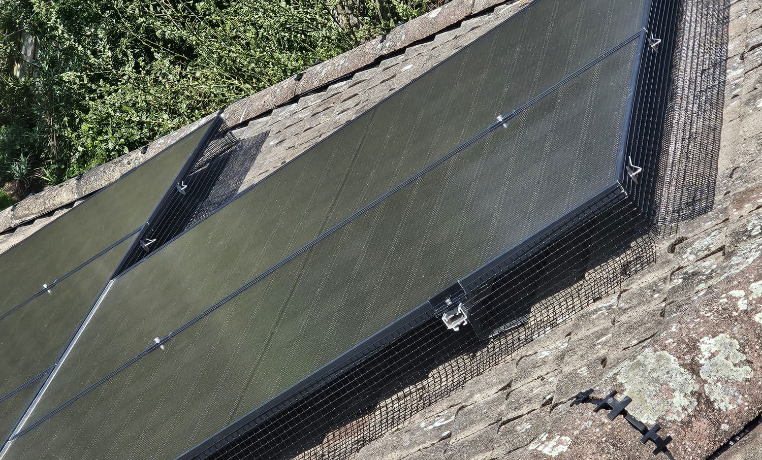 Pigeon Proofing Solar Panels in East Leake