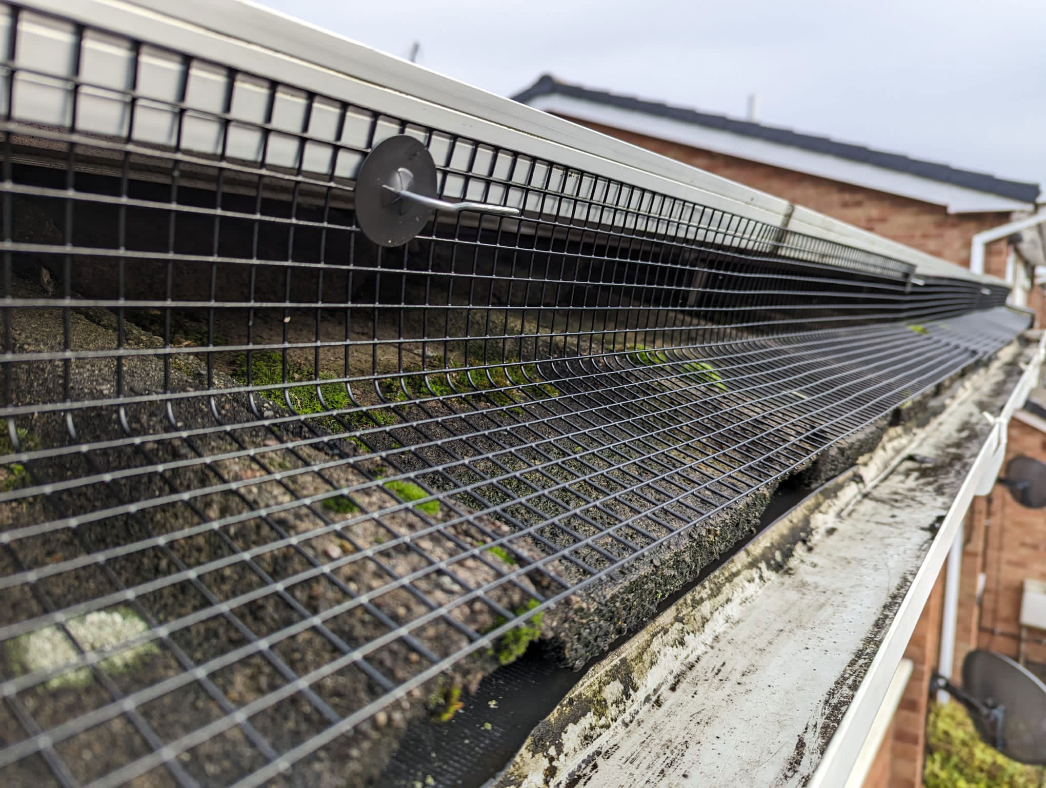 Pigeon Proofing Solar Panels in Eastwood, Nottinghamshire