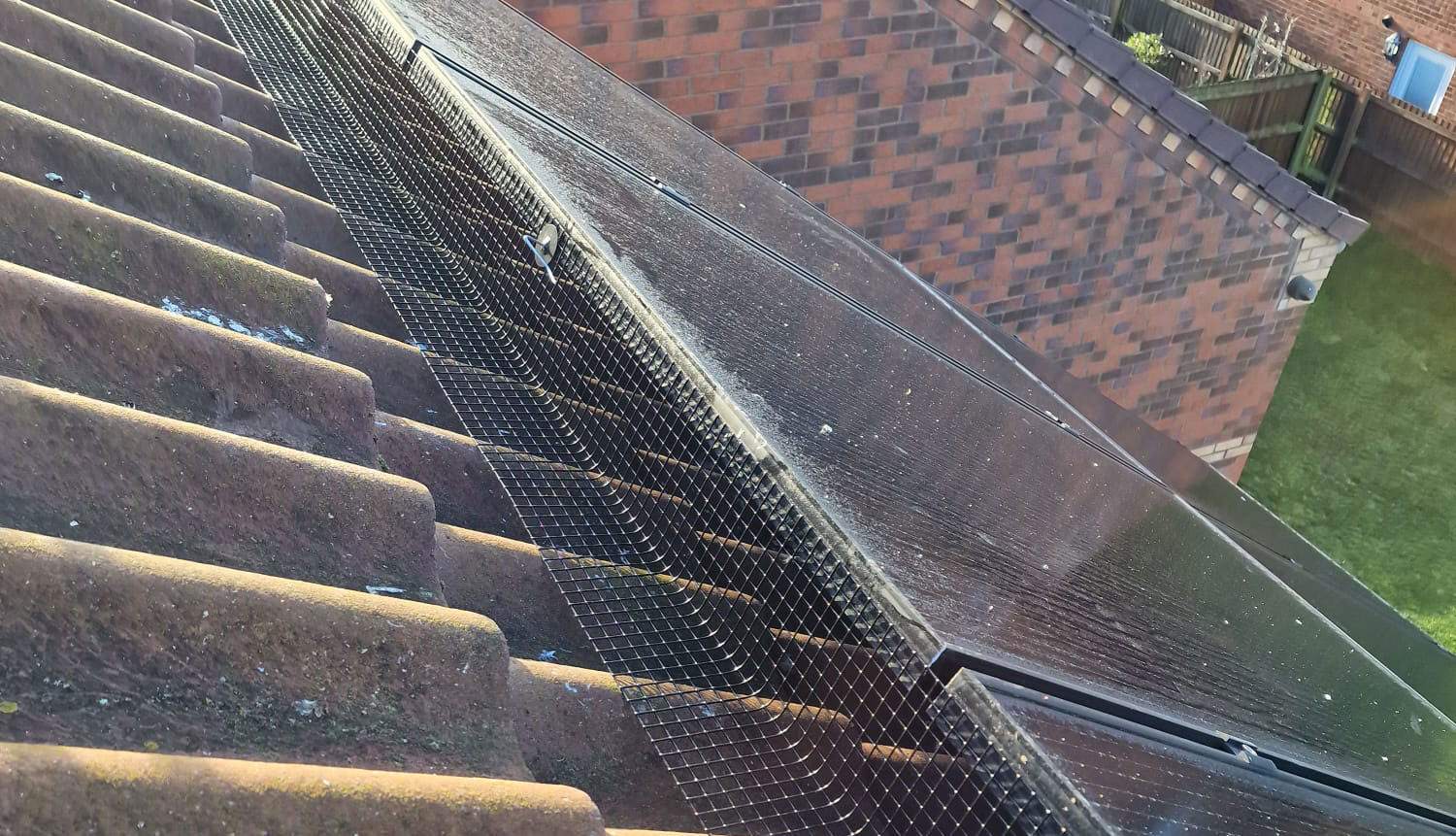 Pigeon+Proofing+Solar+Panels+In+Long+Eaton