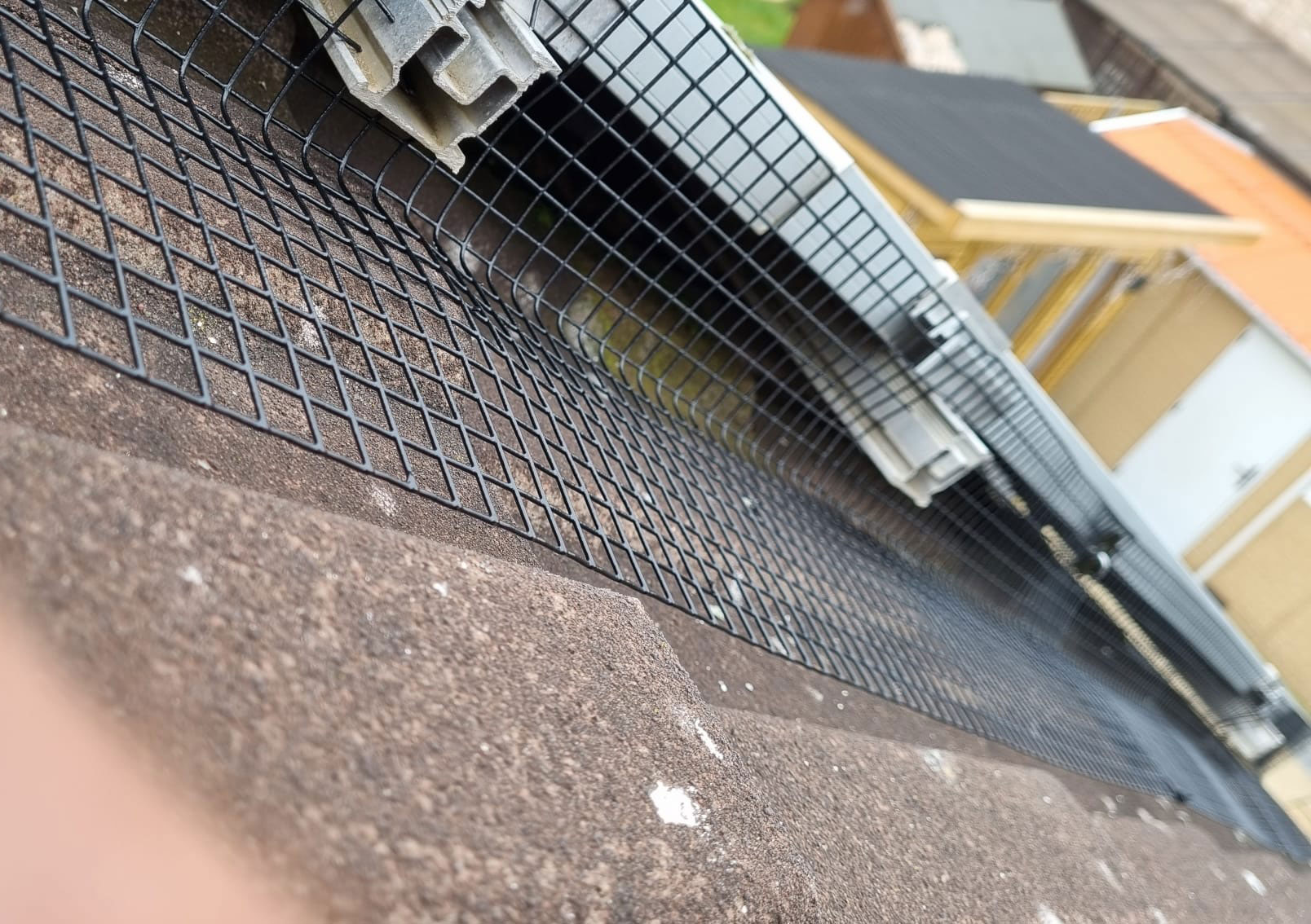 Pigeon Proofing Solar Panels in Long Eaton