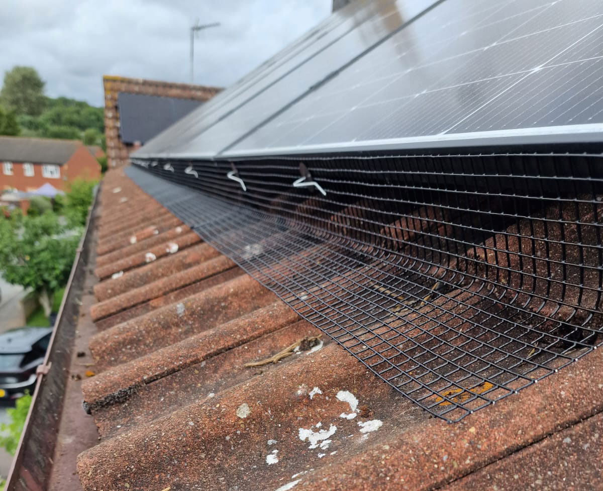 Pigeon+Proofing+Solar+Panels+In+Loughborough