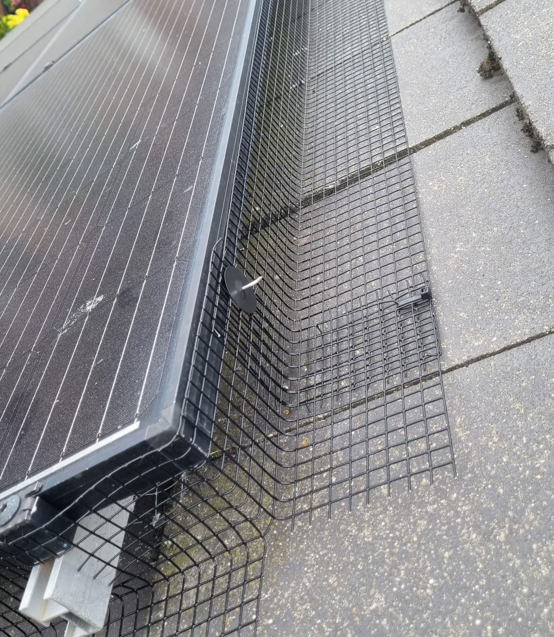 Pigeon+Proofing+Solar+Panels+in+Mansfield+Woodhouse