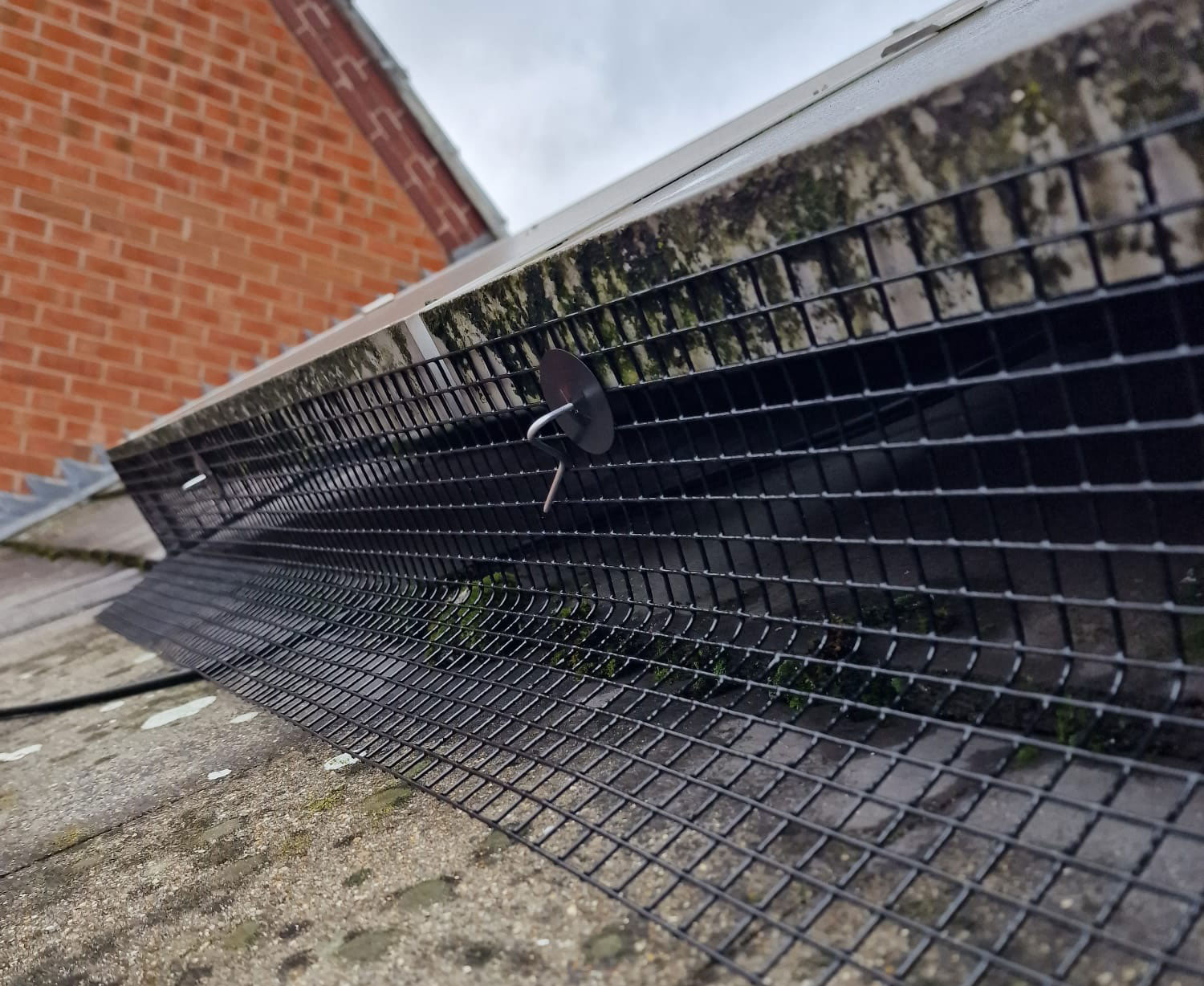Protecting Solar Panels from Pigeons in Sandiacre