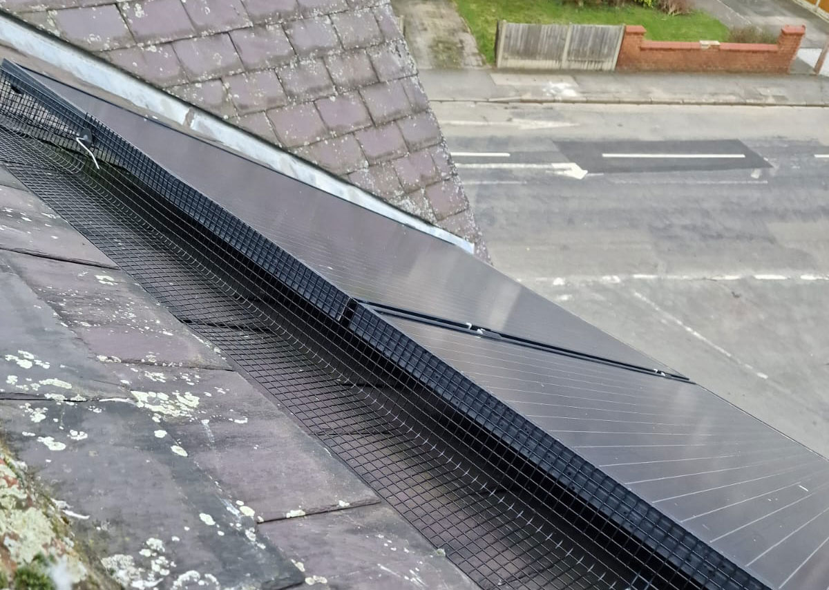 Pigeon+Proofing+Solar+Panels+in+Sawley