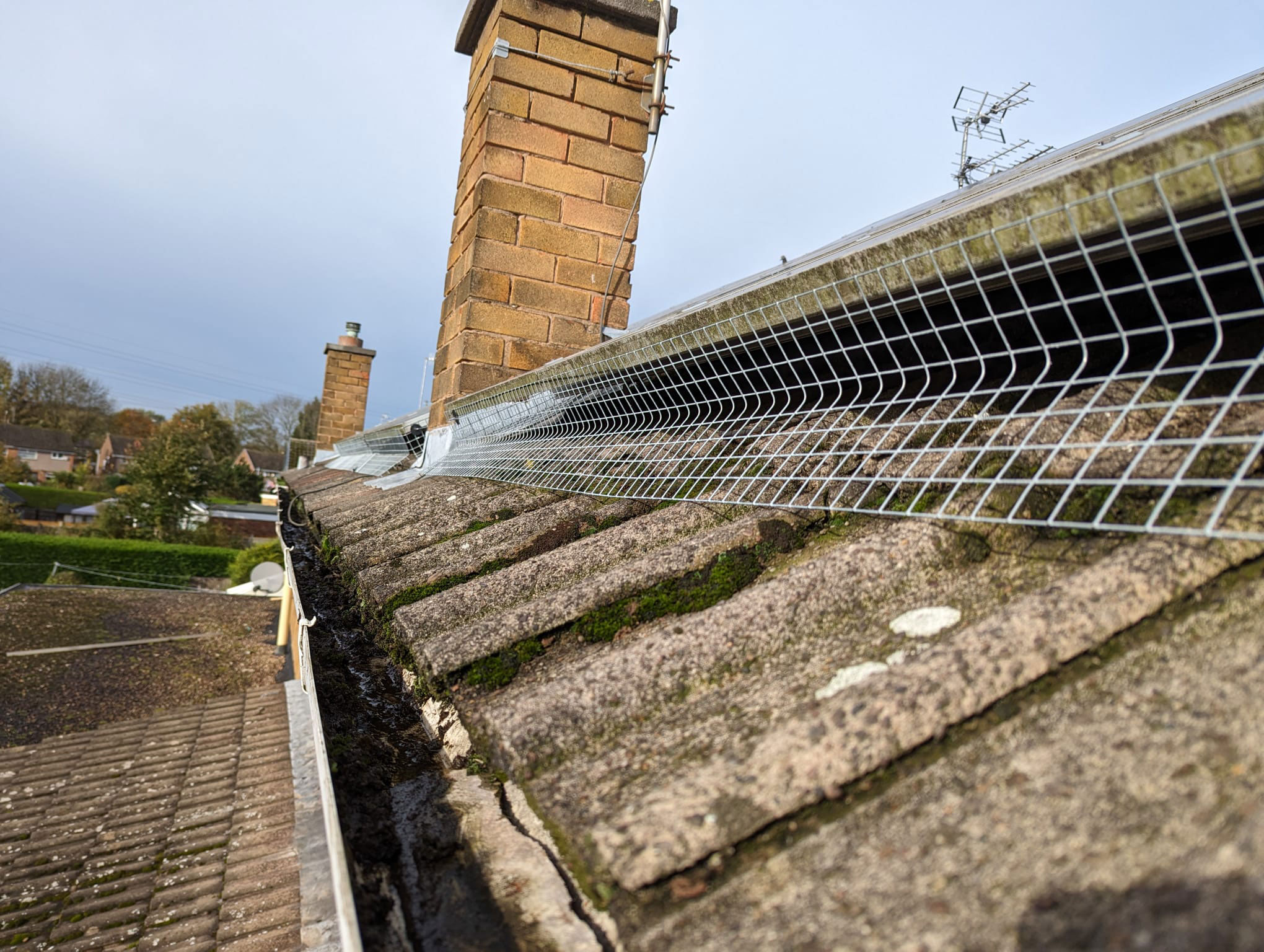 Pigeon Proofing Solar Panels in Silverdale