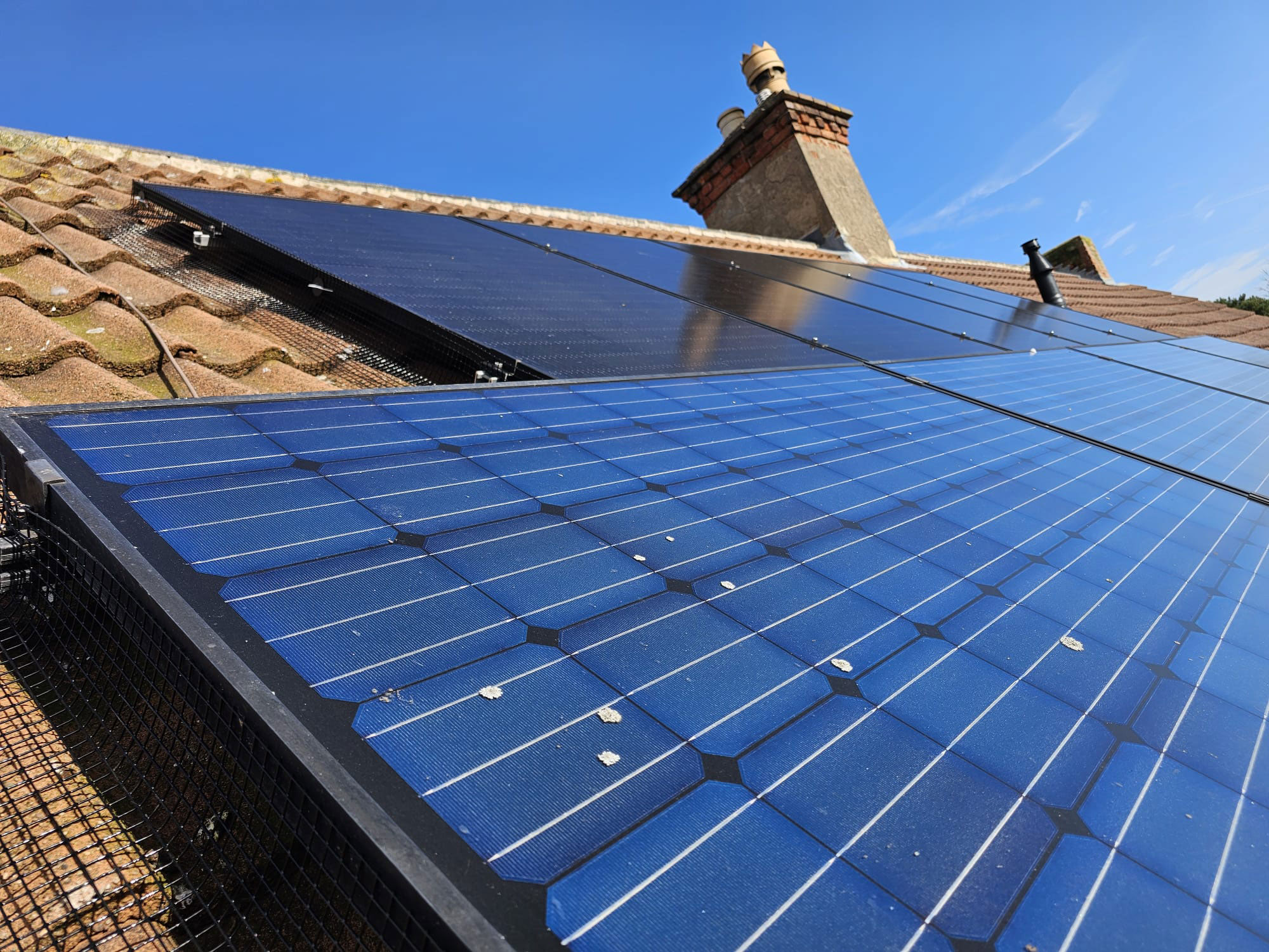 Pigeon Proofing Solar Panels in Southwell