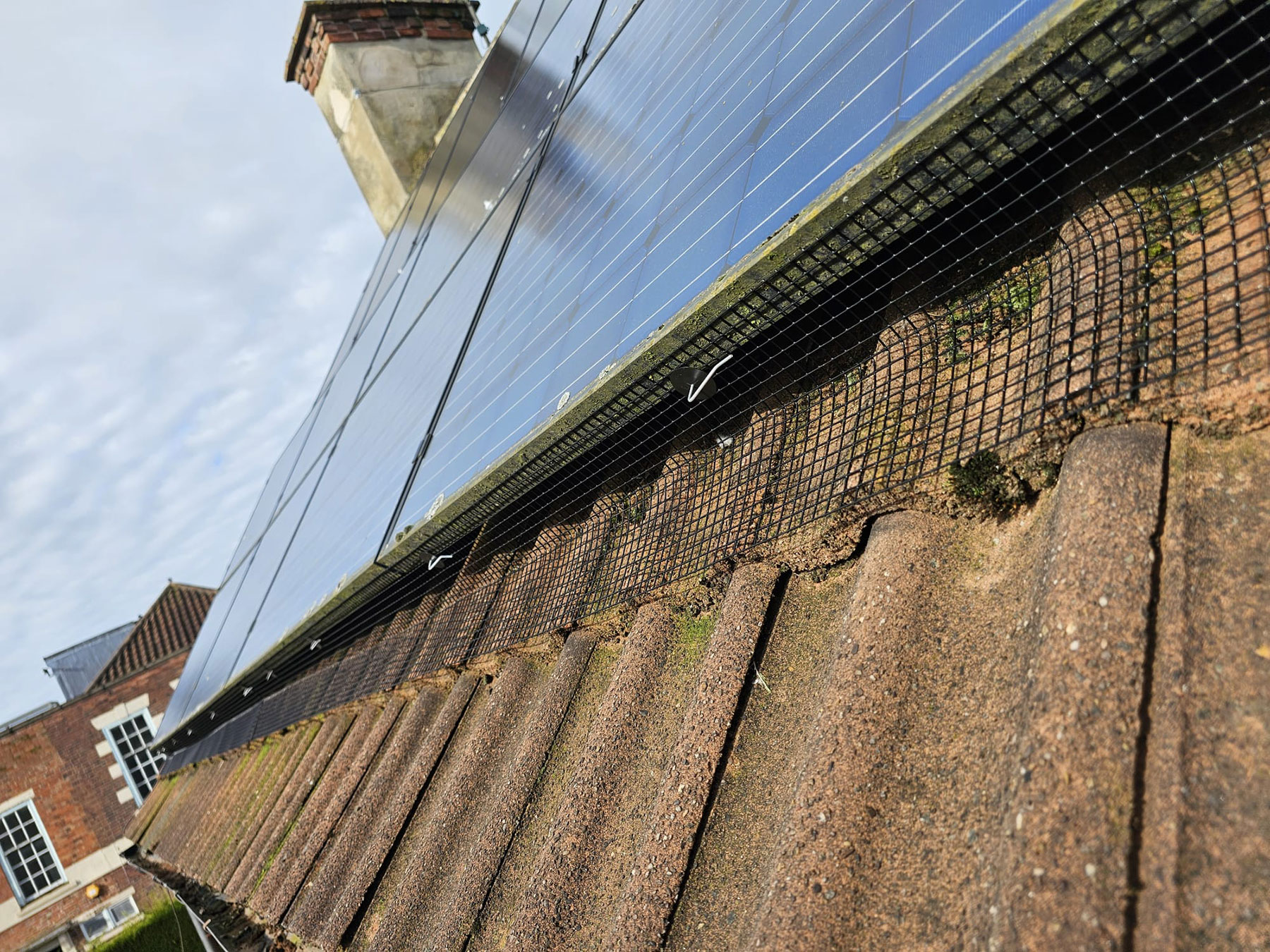 Pigeon+Proofing+Solar+Panels+in+Southwell