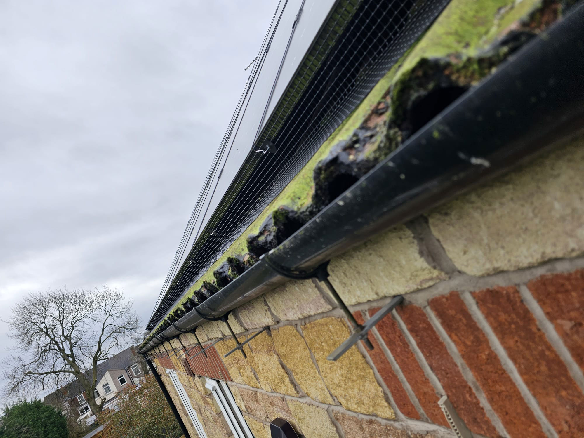 Pigeon+Proofing+Solar+Panels+in+Sutton-in-Ashfield