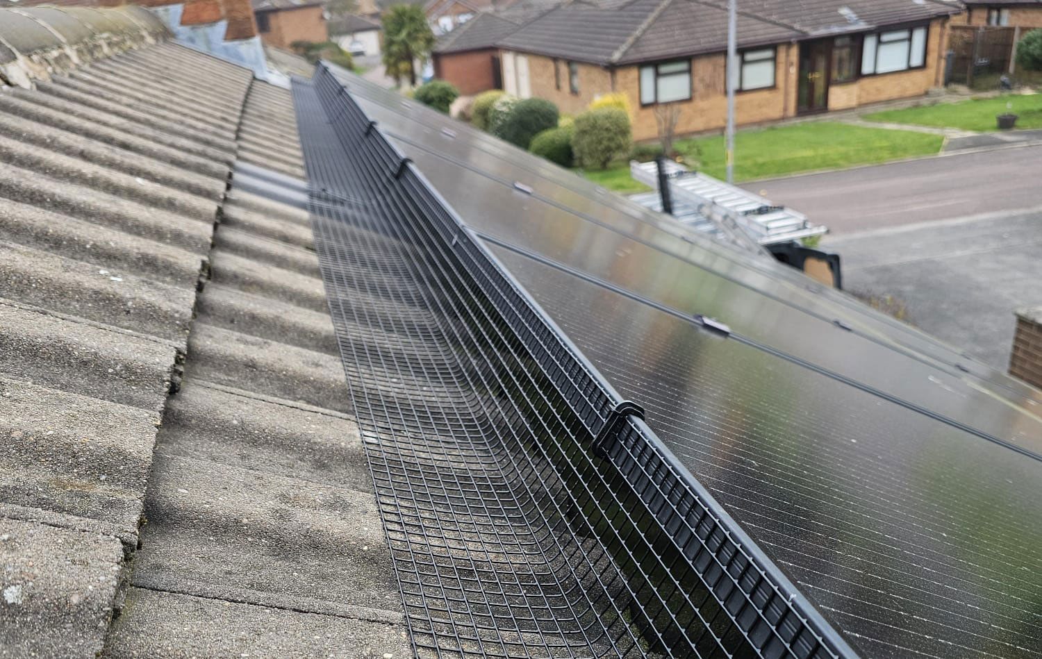 Pigeon+Proofing+Solar+Panels+in+Toton