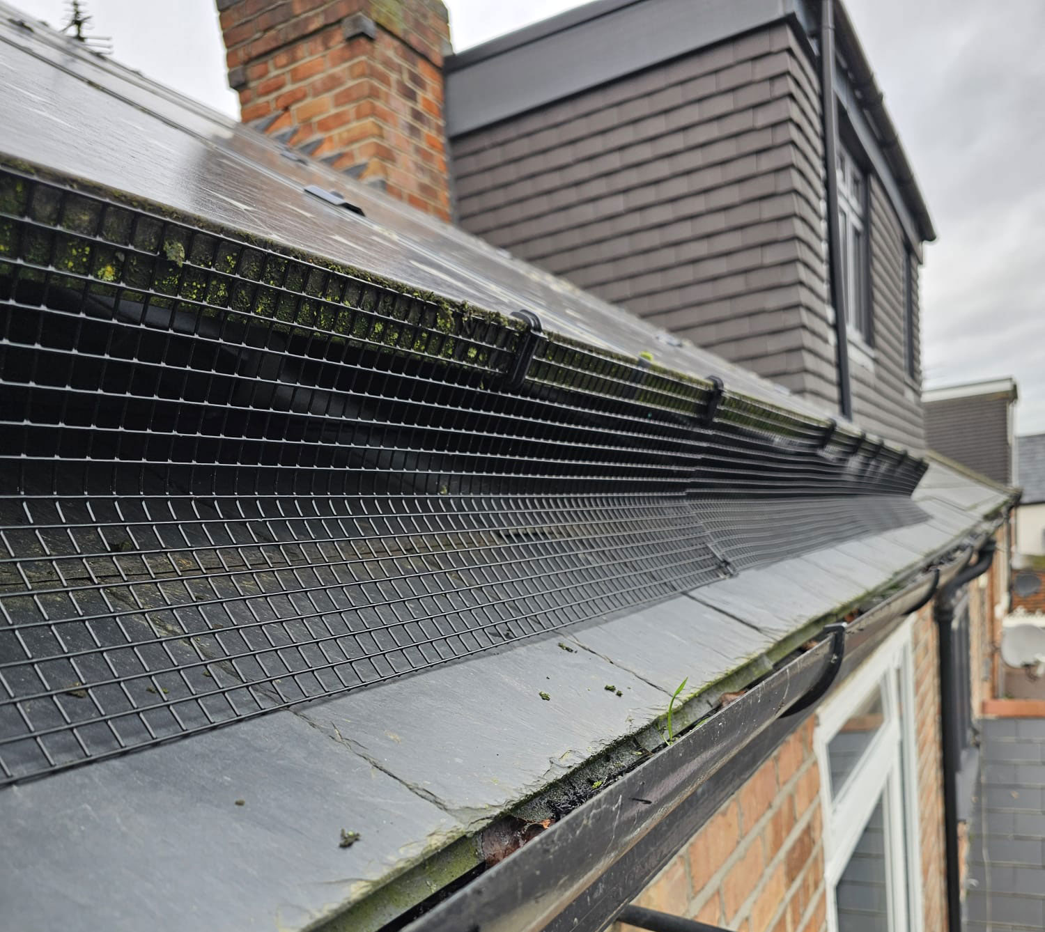 Pigeon+Proofing+Solar+Panels+in+West+Bridgford