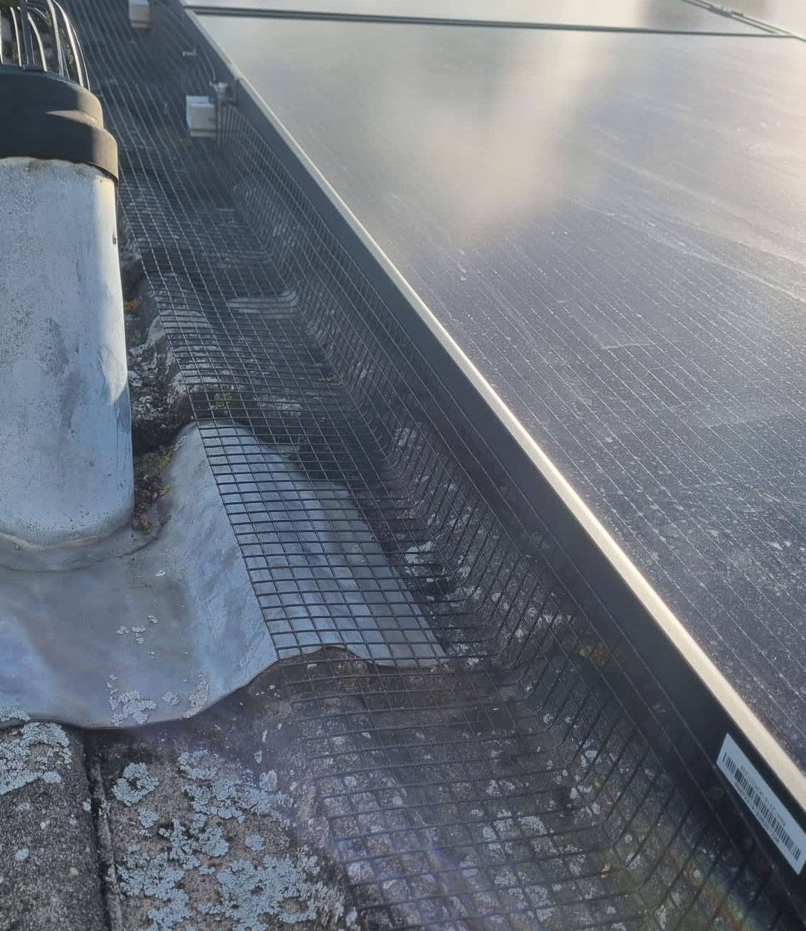 Pigeon Proofing in Stamford