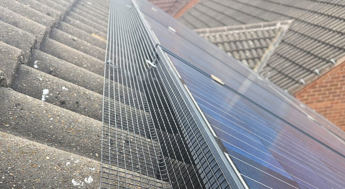Protecting Solar Panels From Pigeons in Mansfield Woodhouse