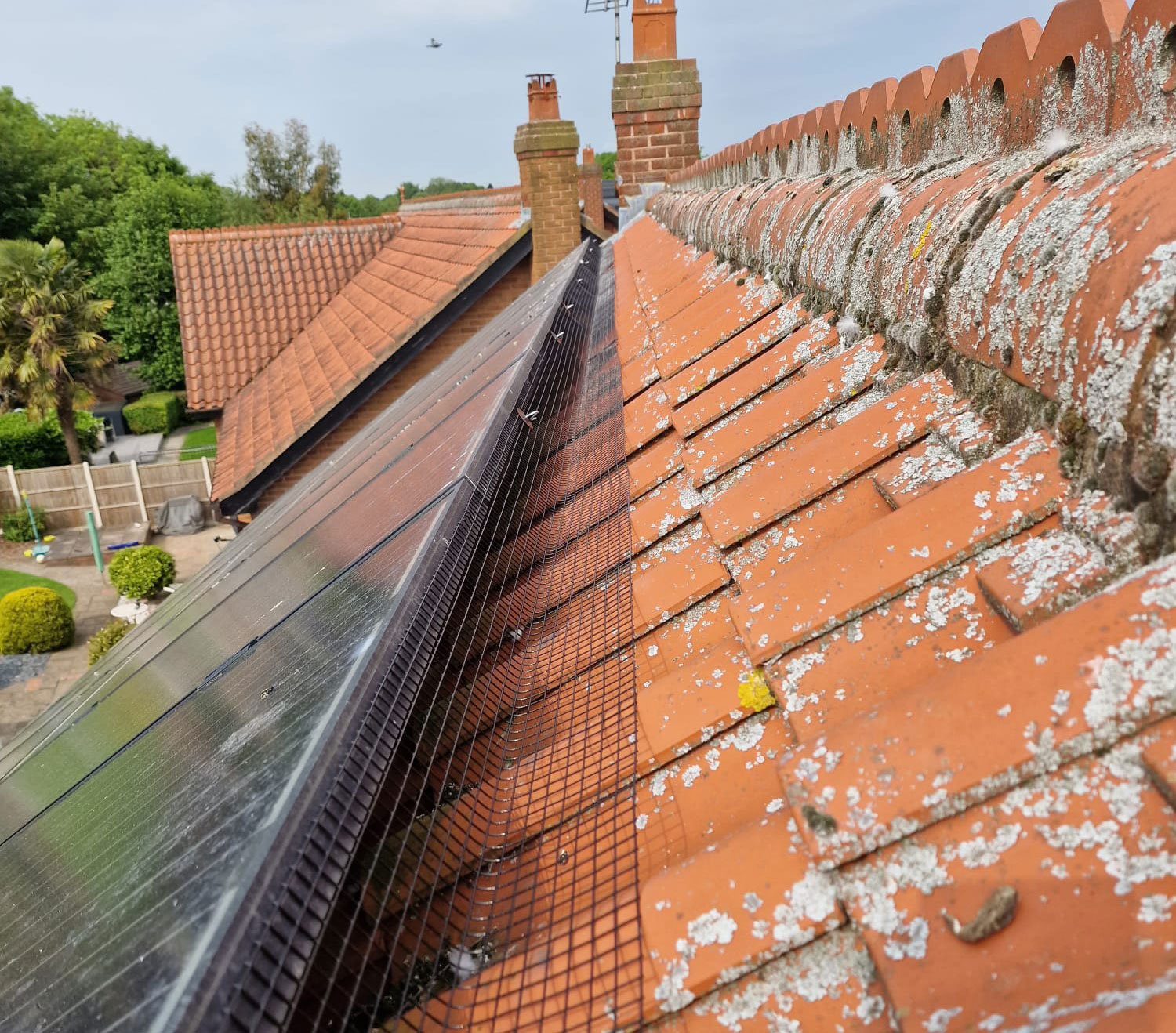 Solar Panel Mesh Installed in Mapperley