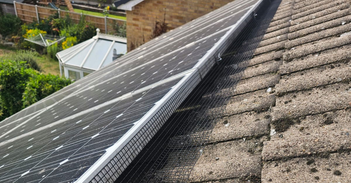 Back+in+Beeston+to+Protect+more+Solar+Panels+From+Pigeons
