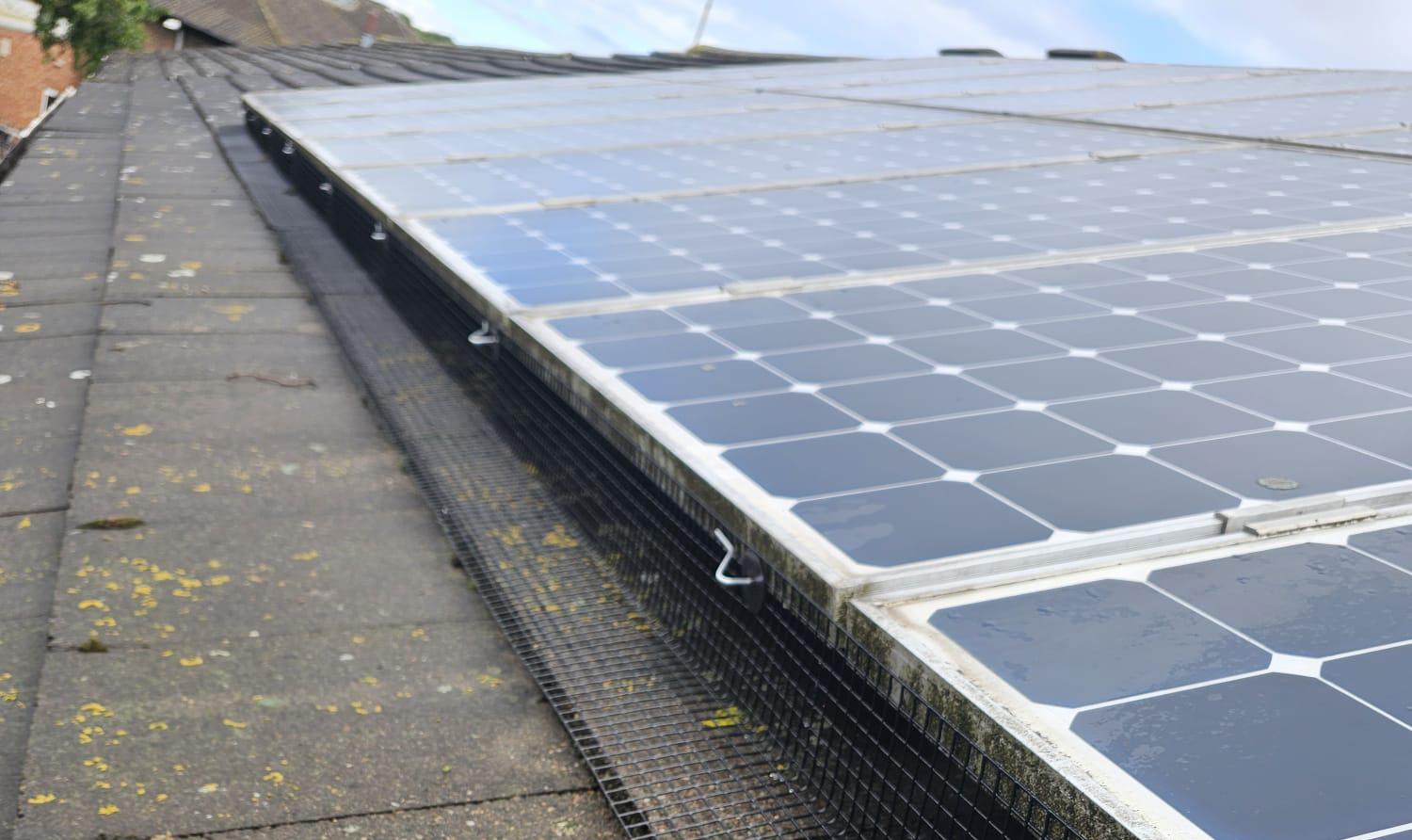 Protecting Solar Panels From Pigeons in Beeston
