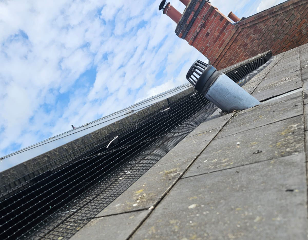 Pigeon+Proofing+Solar+Panels+in+Beeston