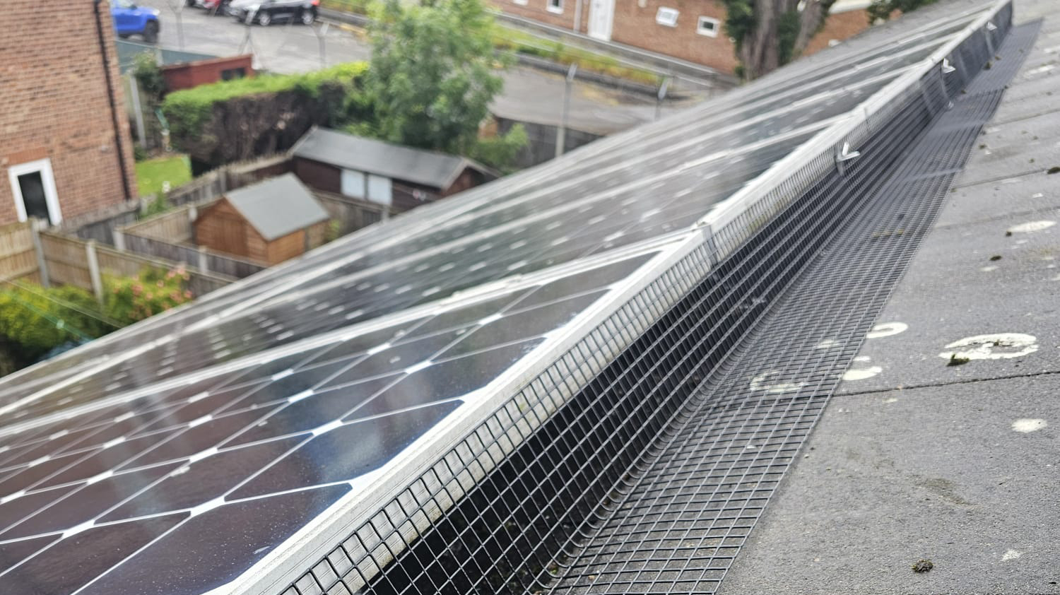 Protecting+Solar+Panels+From+Pigeons+in+Beeston