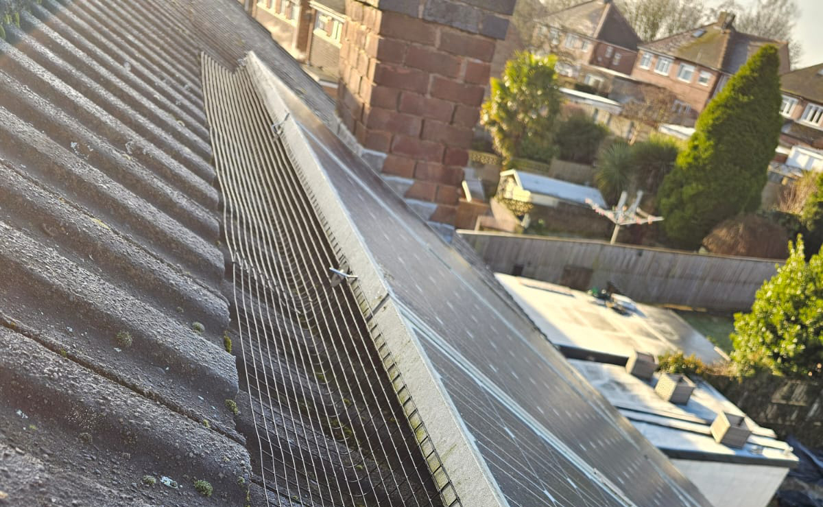 Pigeon Proofing Solar Panels in Hucknall
