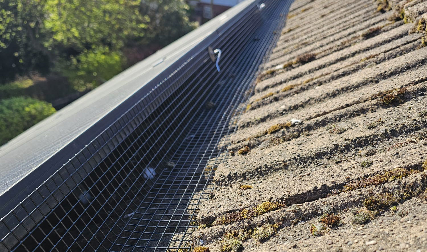 Protecting Solar Panels from Pigeons in Kimberley