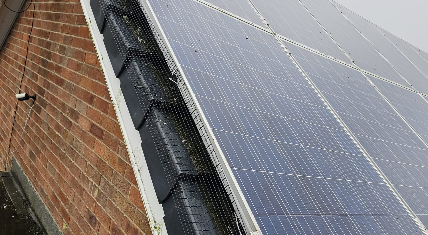 Protecting Solar Panels from Pigeons in Mapperley