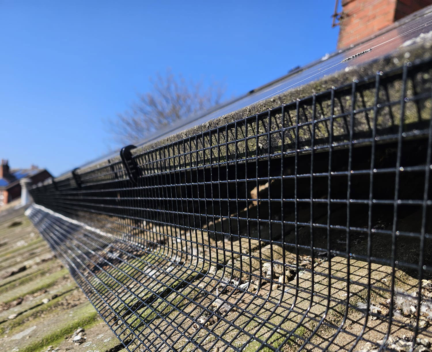 Preventing Pigeons From Nesting Under Solar Panels in Mapperley