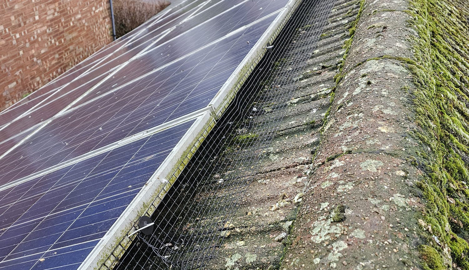 Protecting Solar Panels from Pigeons in Mapperley