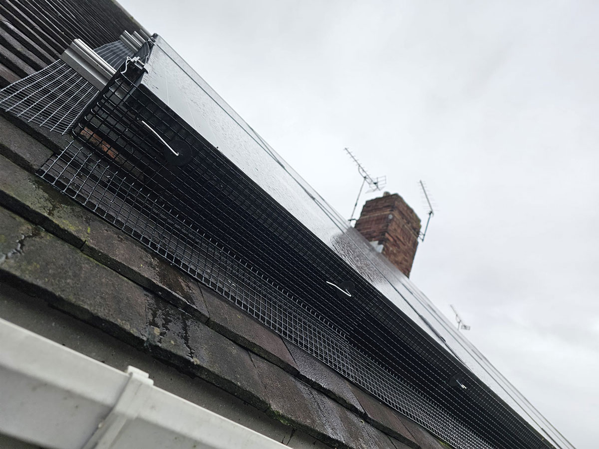 Pigeon Proofing Solar Panels in Sheffield