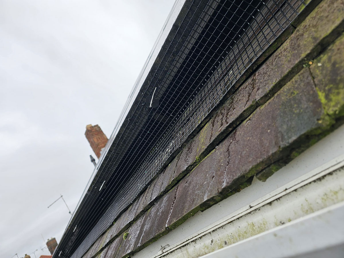 Pigeon+Proofing+Solar+Panels+in+Sheffield