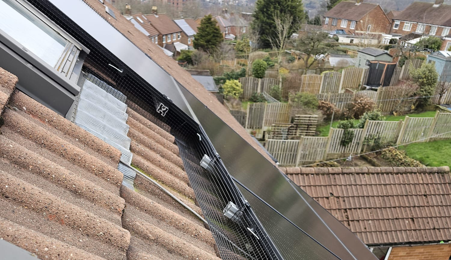 Pigeon+Proofing+Solar+Panels+in+Sheffield