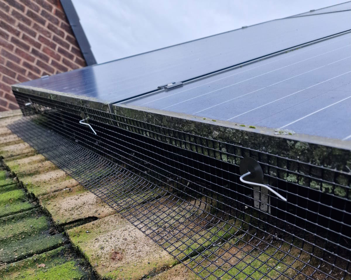 Protecting+Solar+Panels+from+Pigeons+in+Alfreton