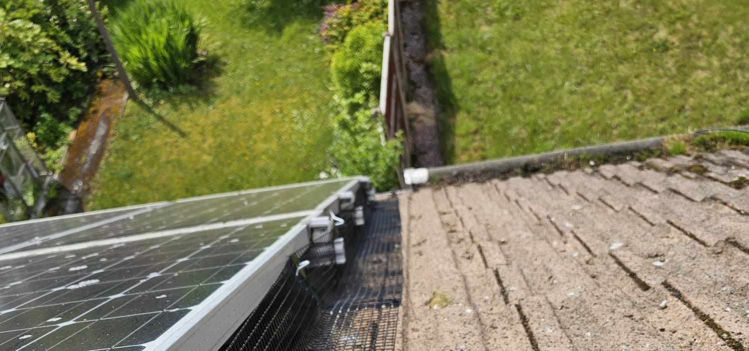 More Pigeons Interested in Solar Panels in Beeston