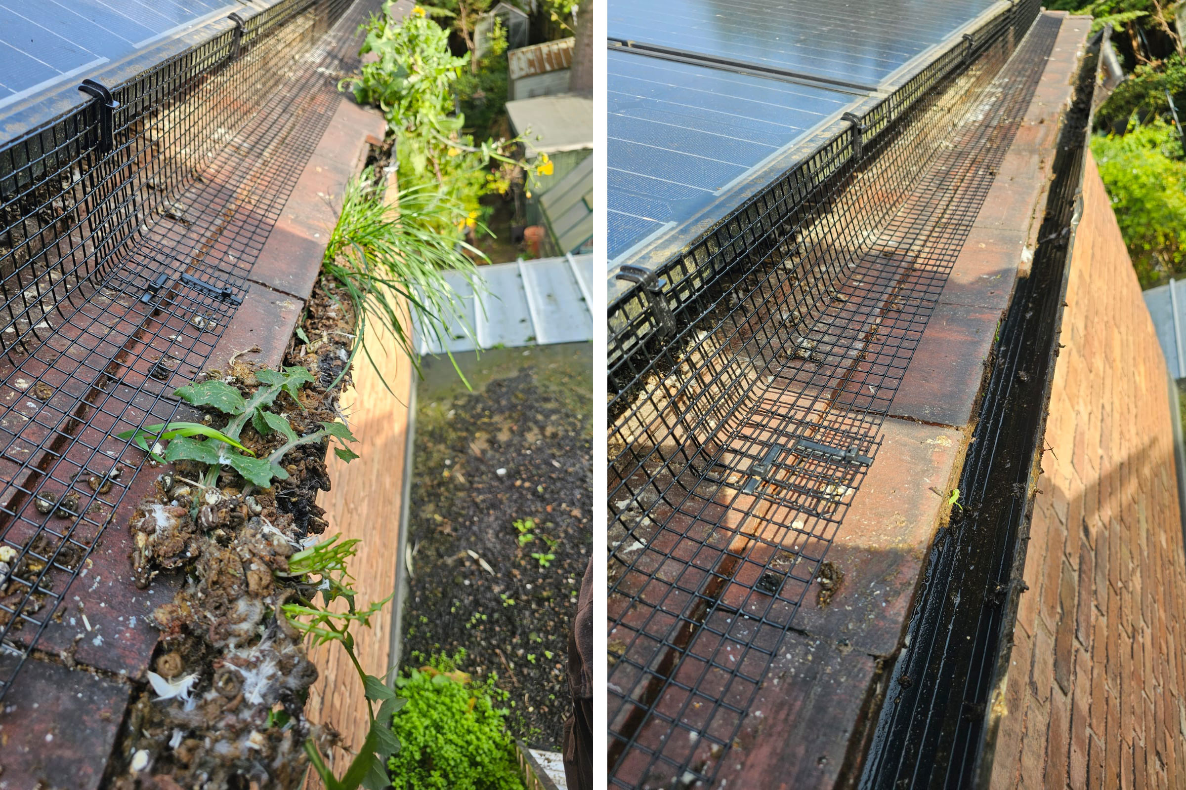 Pigeon Proofing Solar Panels In Beeston