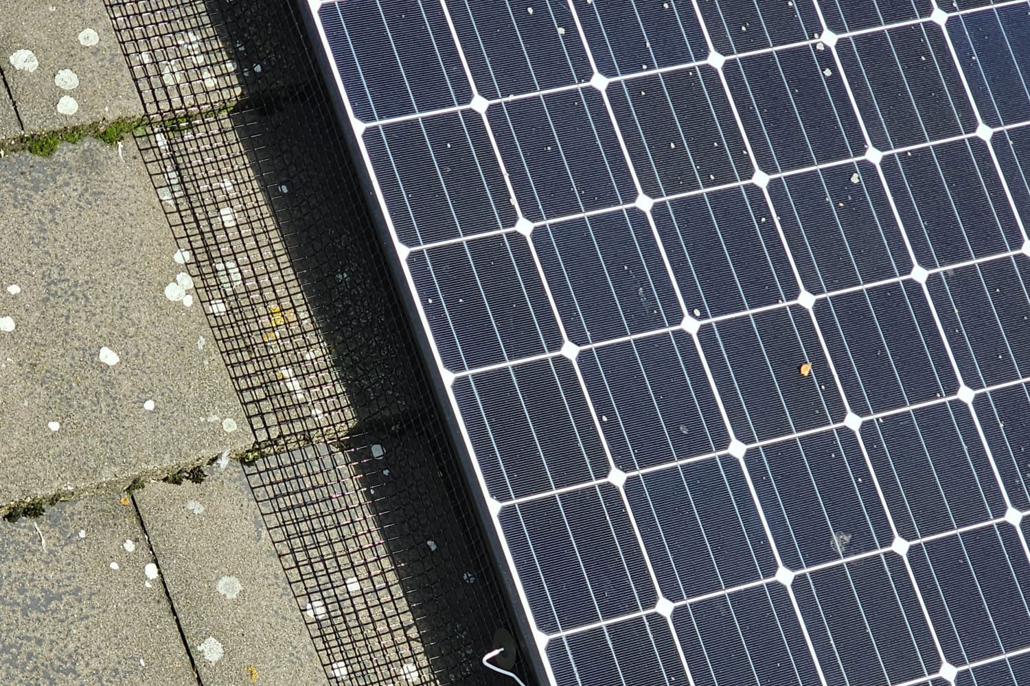 Pigeon Proofing Solar Panels in Bestwood Village