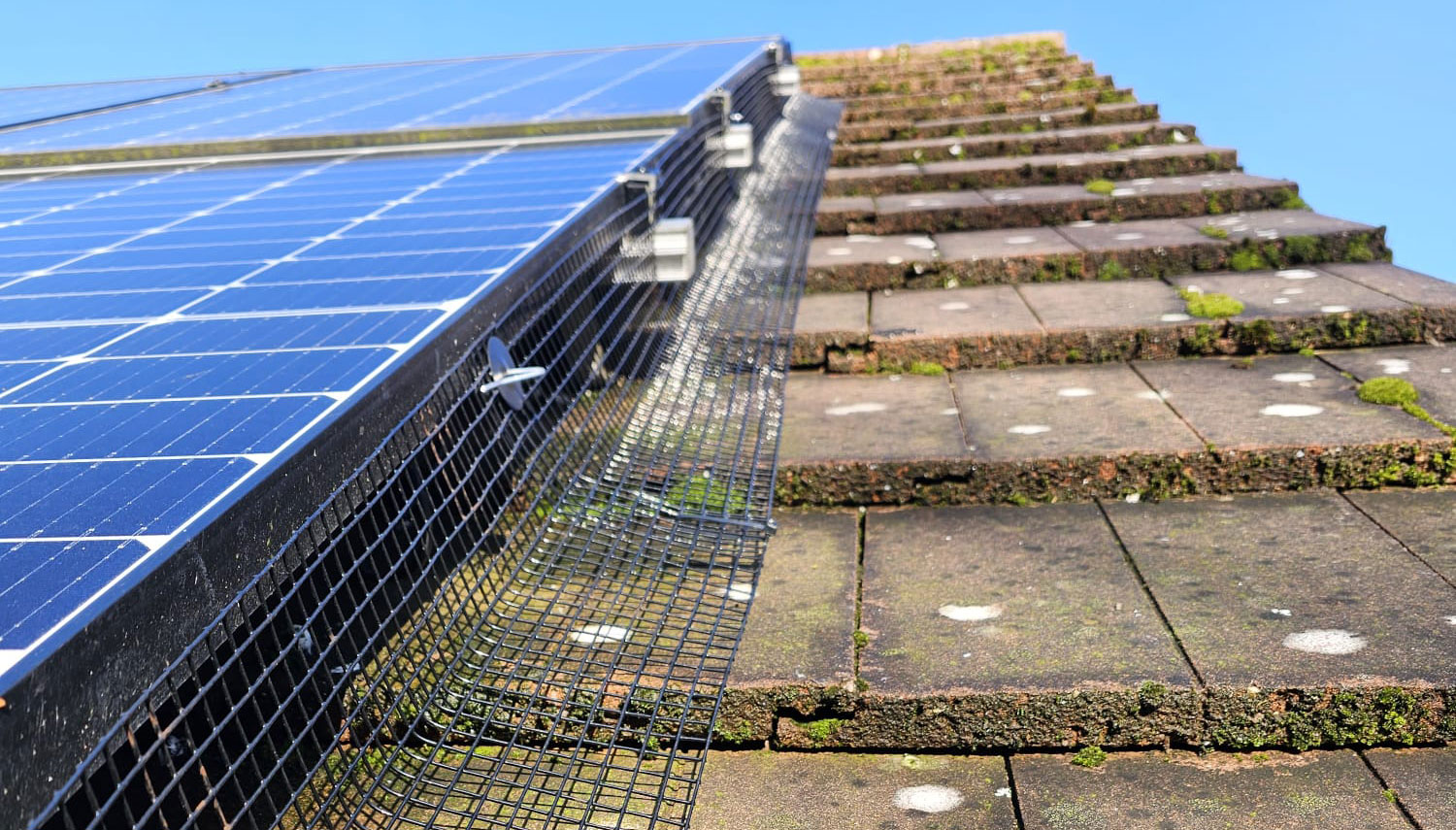 Protecting Solar Panels From Pigeons in Bestwood Village