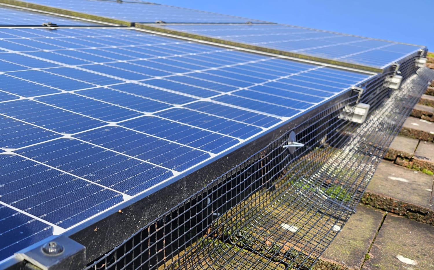 Protecting+Solar+Panels+From+Pigeons+in+Bestwood+Village