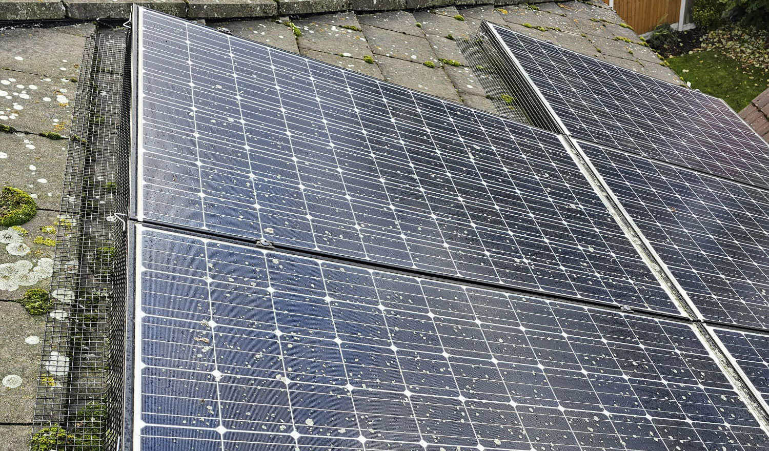 Pigeon Proofing Solar Panels in Bestwood Village