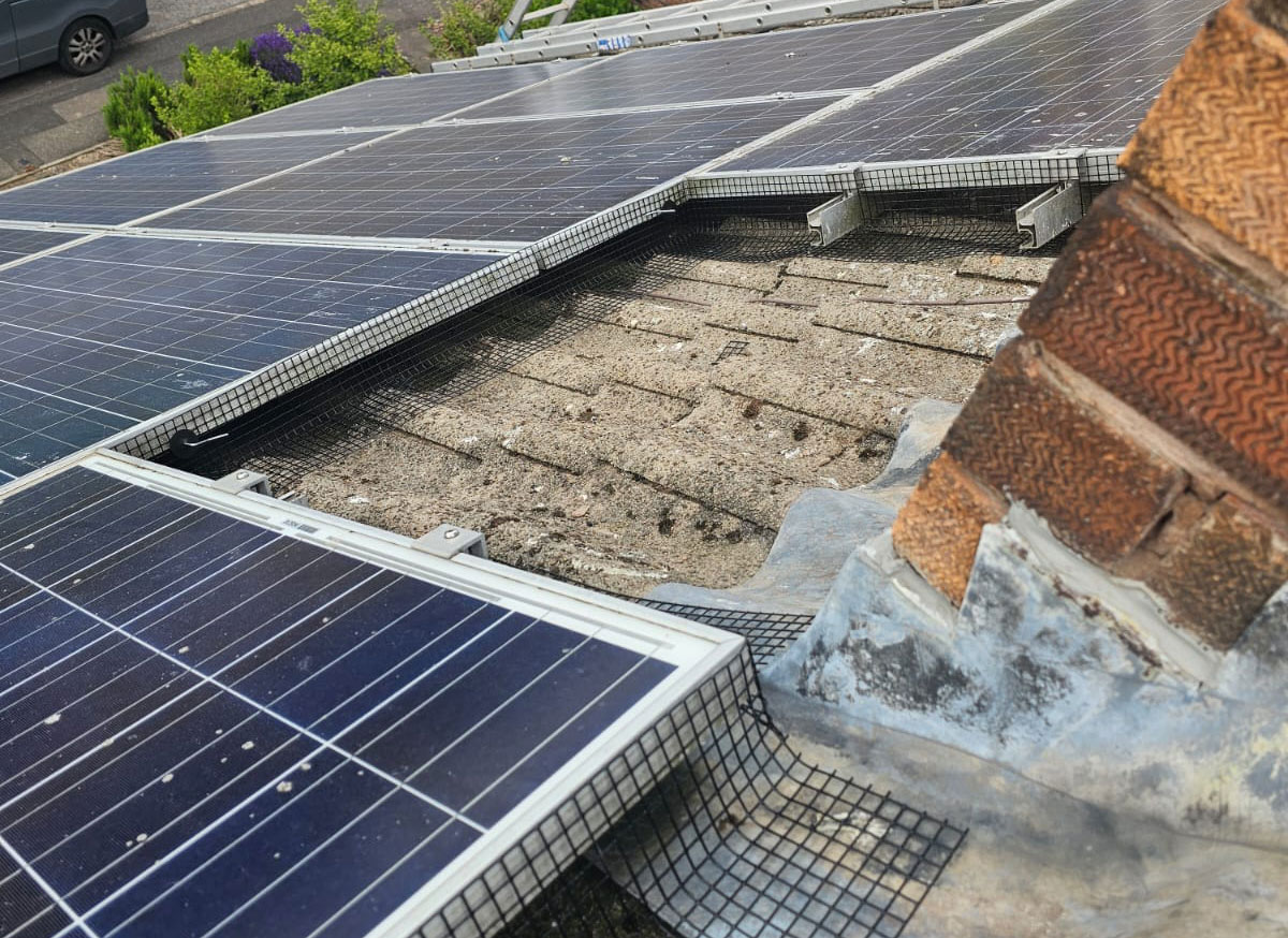 Preventing Pigeons From Nesting Under Solar Panels in Chesterfield