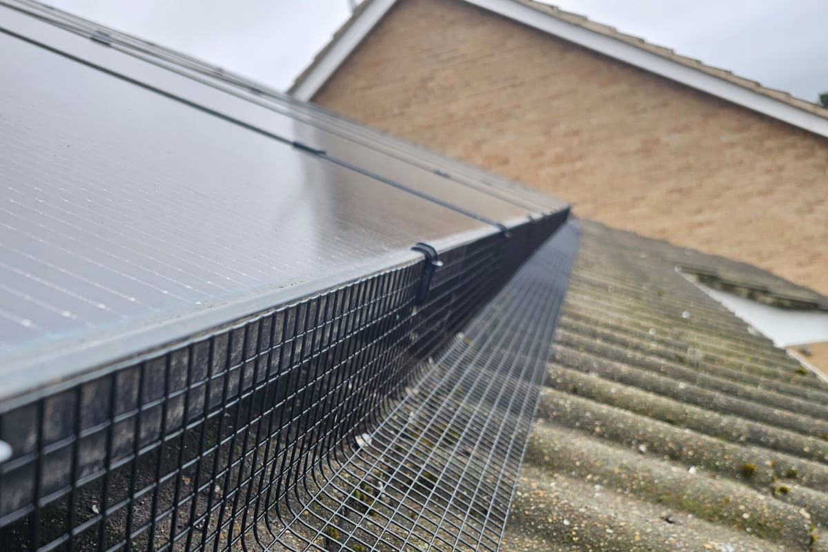 Protecting+Solar+Panels+From+Pigeons+In+Chesterfield
