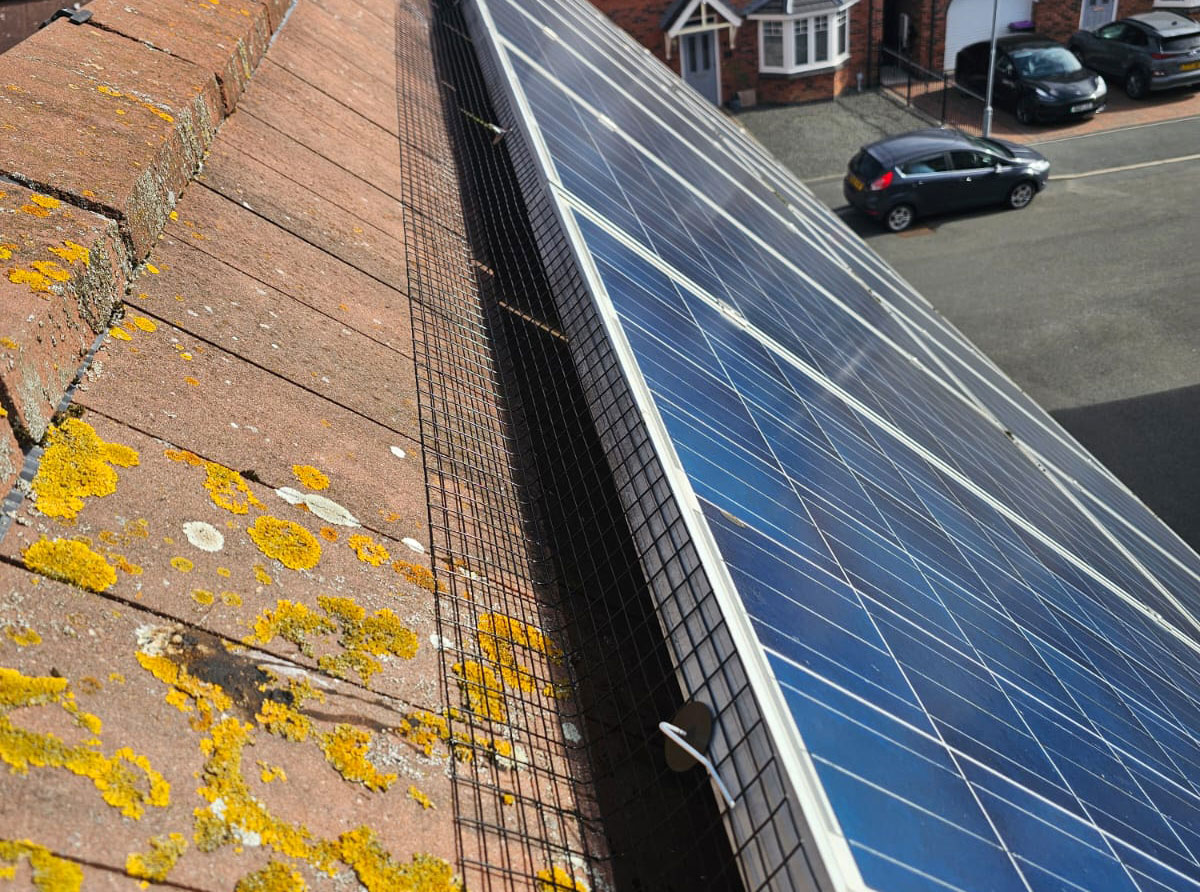 Protecting+Solar+Panels+From+Pigeons+in+East+Leake