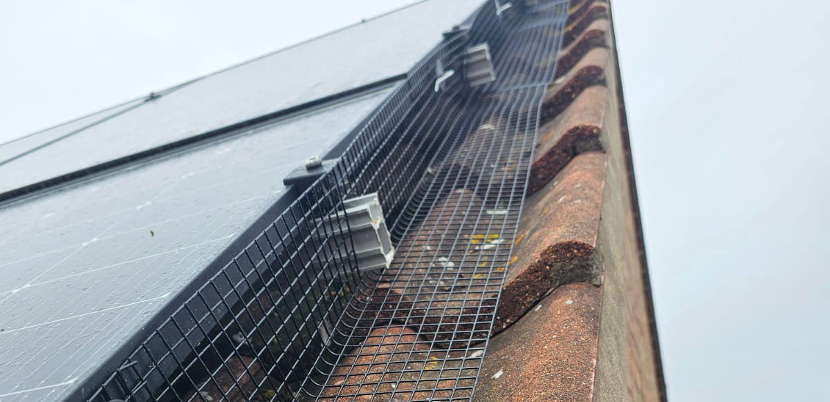 Protecting Solar Panels From Pigeons in East Markham