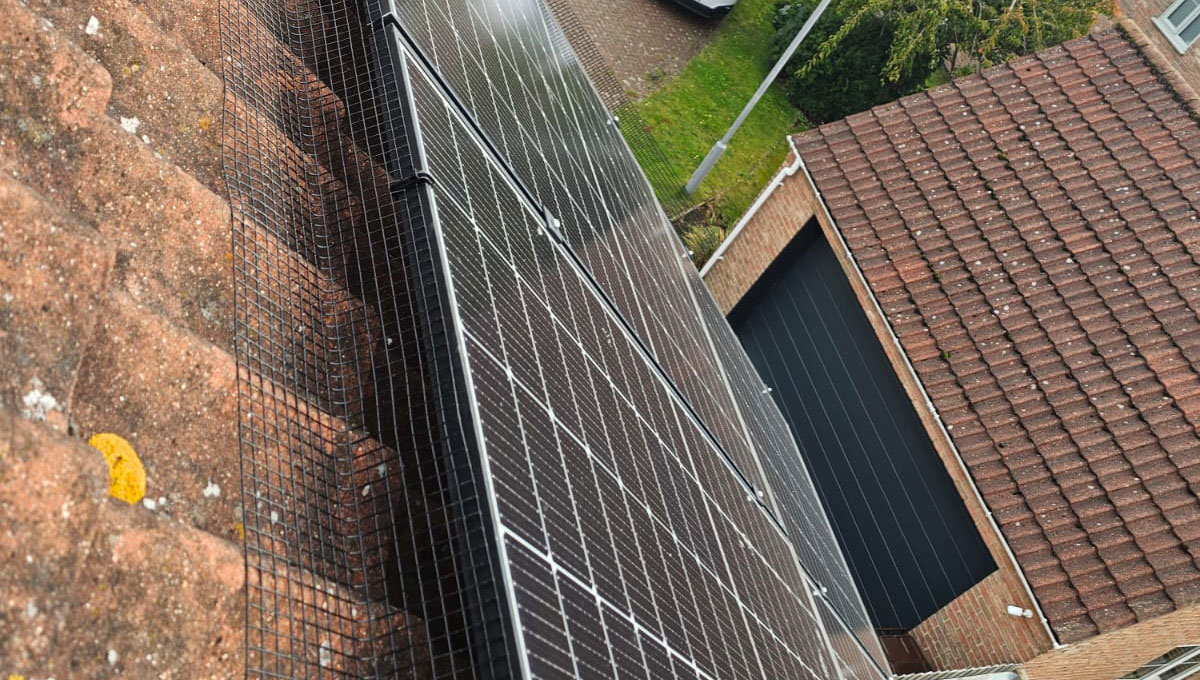 Protecting+Solar+Panels+From+Pigeons+in+East+Markham