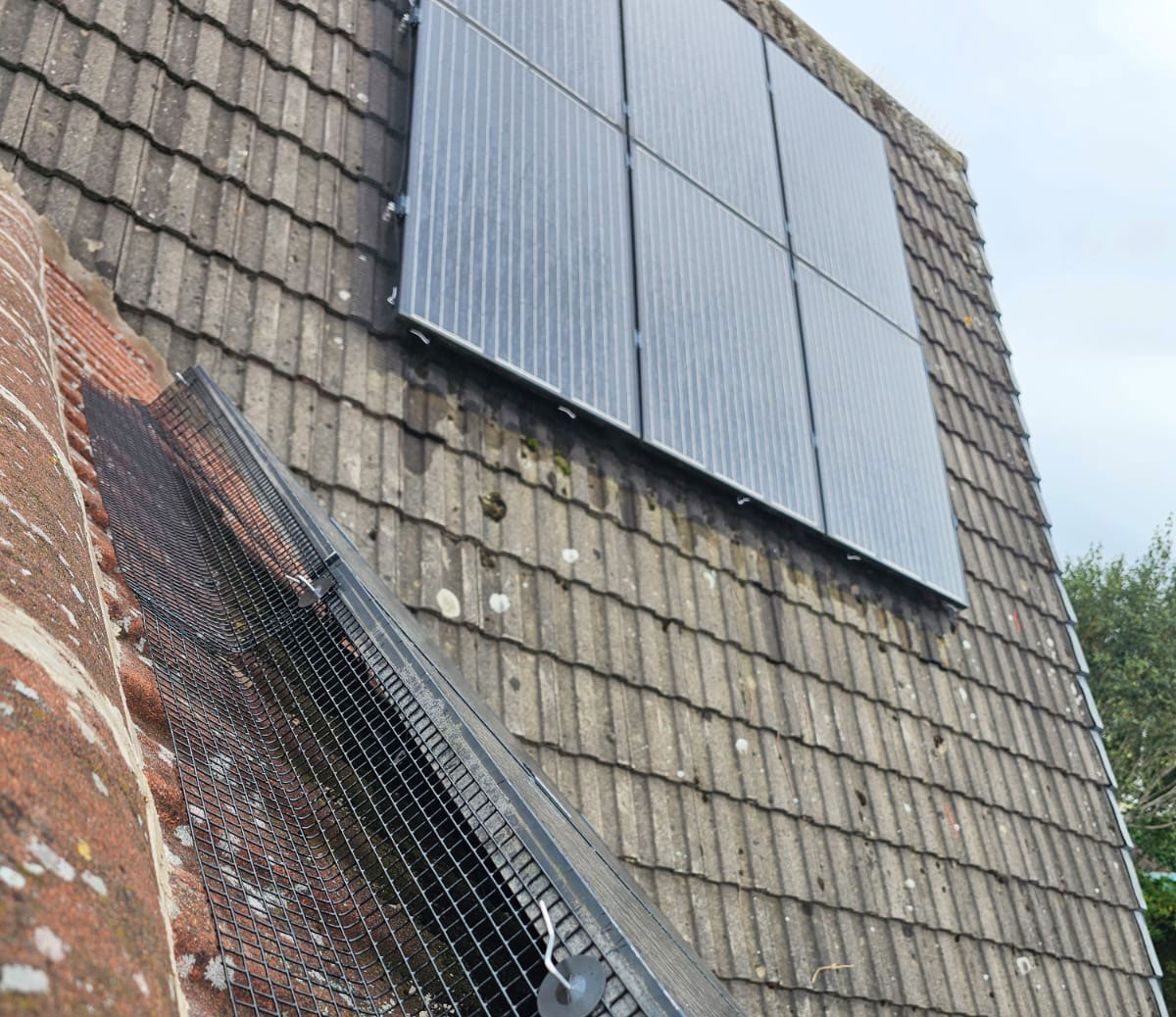 Preventing Pigeons From Nesting Under Solar Panels in Edwinstowe