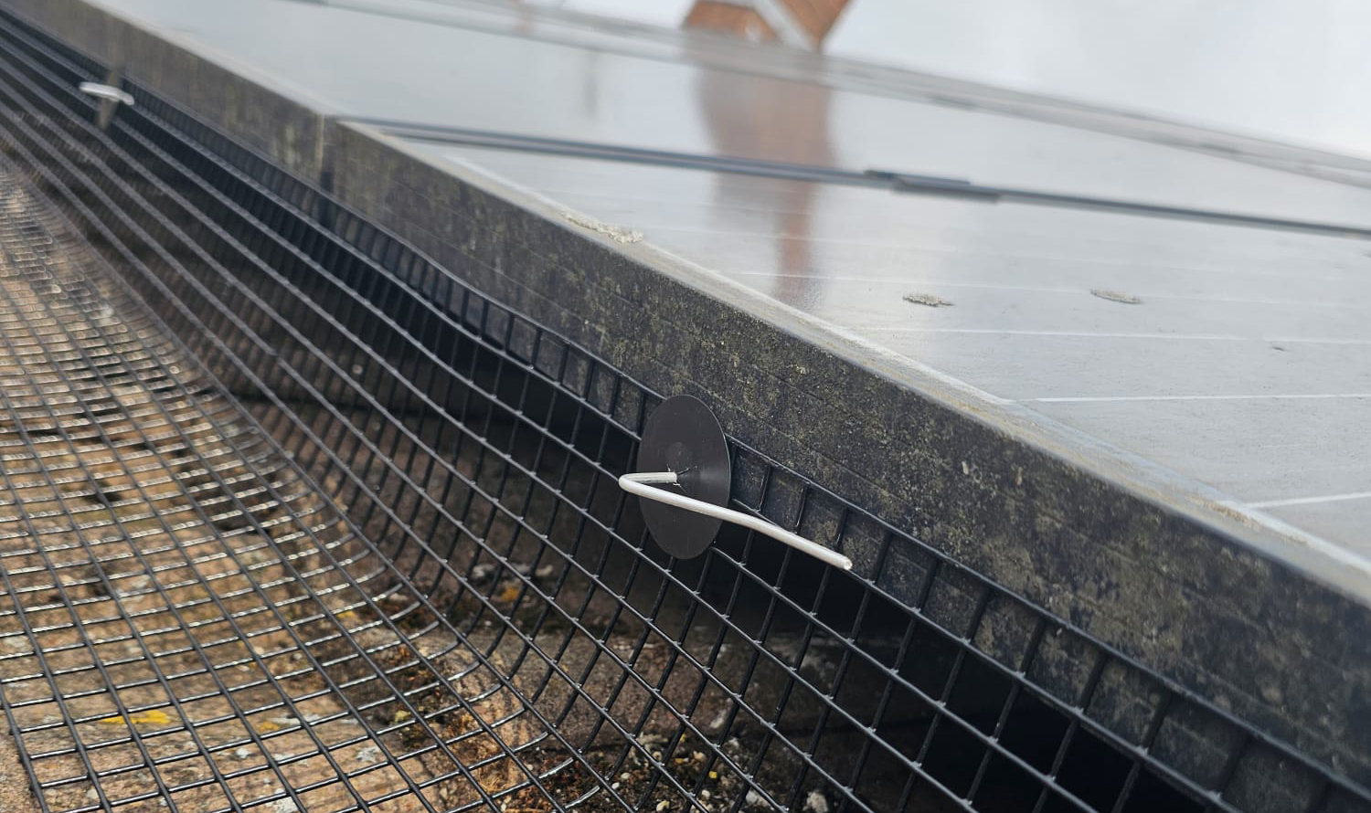 Protecting Solar Panels from Pigeons in Hucknall