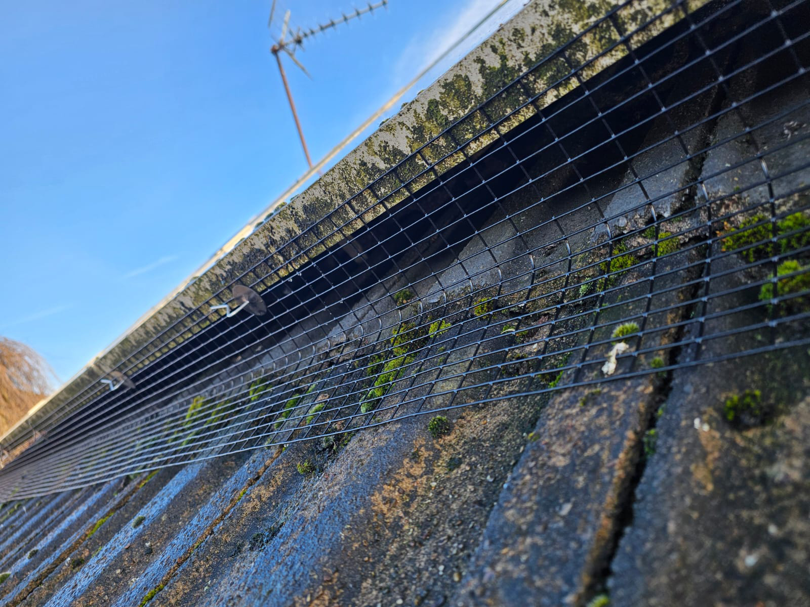 Pigeon Proofing Solar Panels in Hucknall