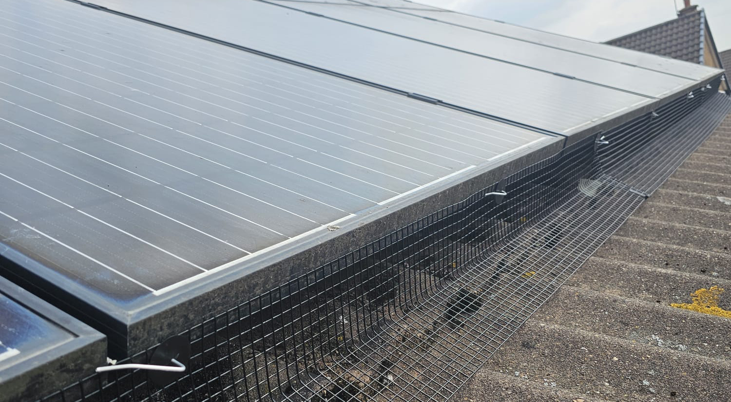 Protecting+Solar+Panels+from+Pigeons+in+Hucknall