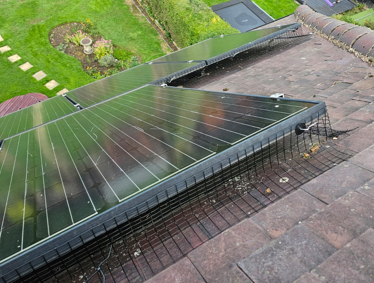Preventing+Pigeons+From+Nesting+Under+Solar+Panels+in+Hucknall