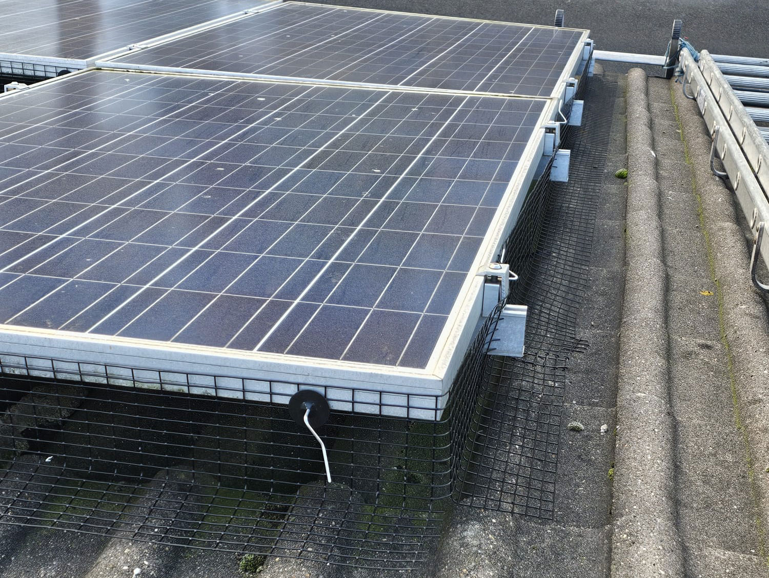 Protecting Solar Panels From Pigeons in Ilkeston