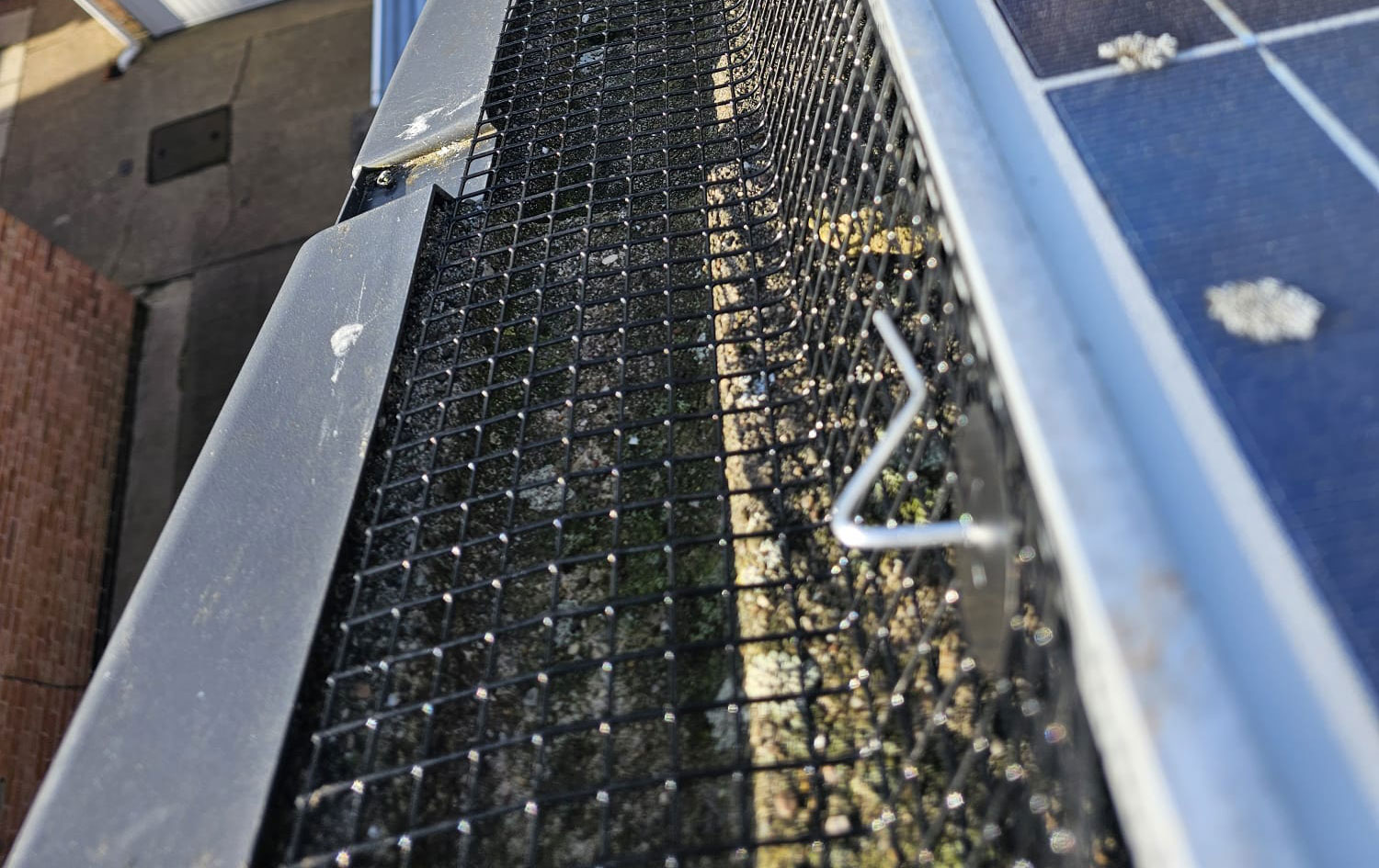 Pigeon Proofing Solar Panels in Ilkeston