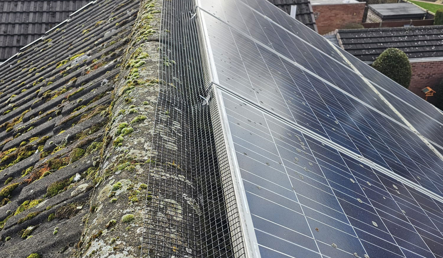 Pigeon+Proofing+Solar+Panels+in+Ilkeston