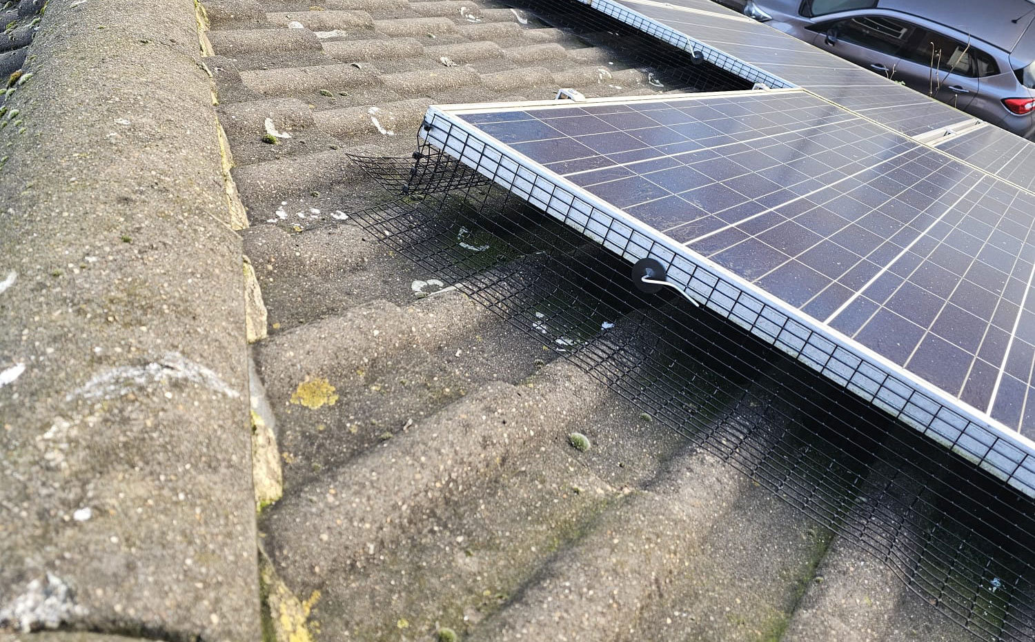Protecting Solar Panels From Pigeons in Ilkeston